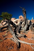 UTAH Kodachrome Park